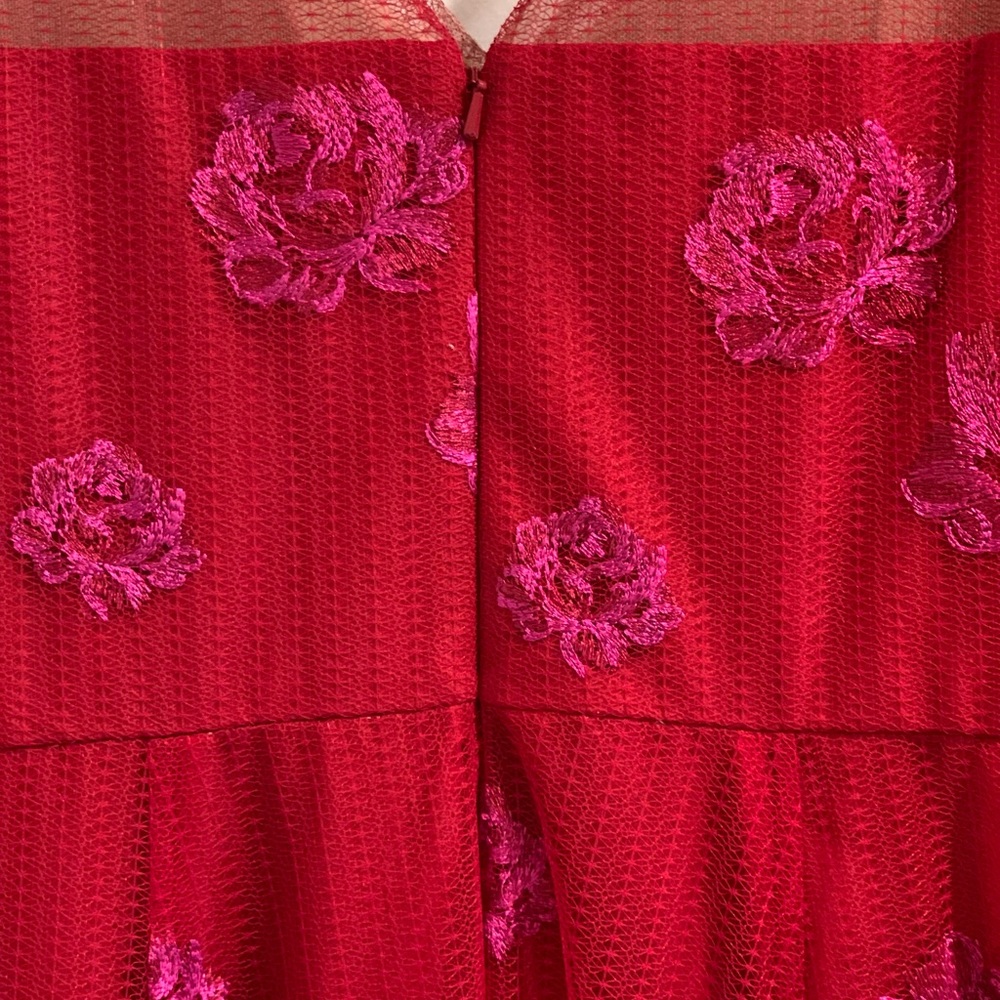 Red hot special occasion beauty - Picture 9 of 15